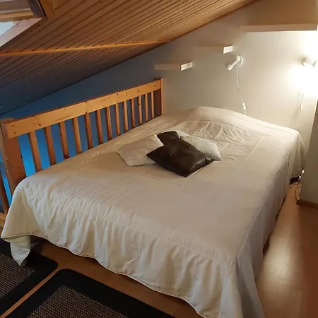 Polar Star Moonlight Apartments Levi Room photo